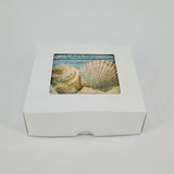 Round Absorbant Seashell Ceramic Coaster Set